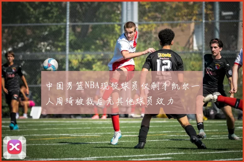 中国男篮NBA现役球员仅剩李凯尔一人周琦被裁后无其他球员效力