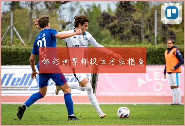 体彩世界杯投注方法指南