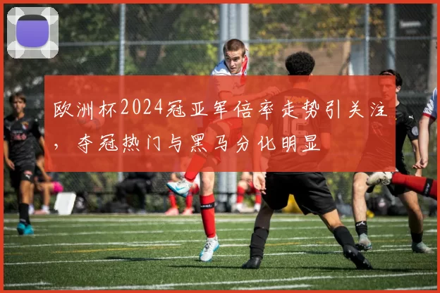 欧洲杯2024冠亚军倍率走势引关注,夺冠热门与黑马分化明显