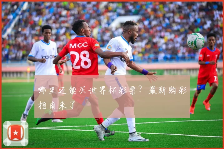 哪里还能买世界杯彩票?最新购彩指南来了