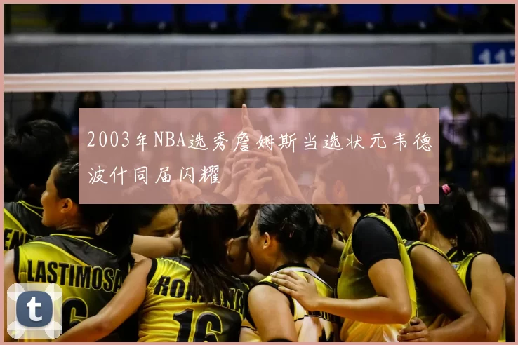 2003年NBA选秀詹姆斯当选状元韦德波什同届闪耀