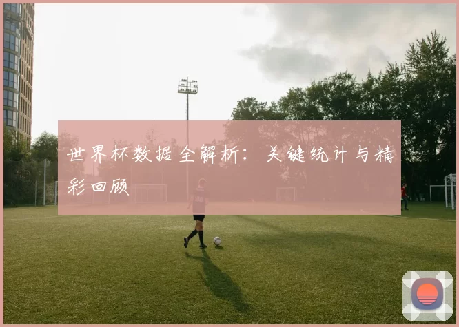 世界杯数据全解析:关键统计与精彩回顾