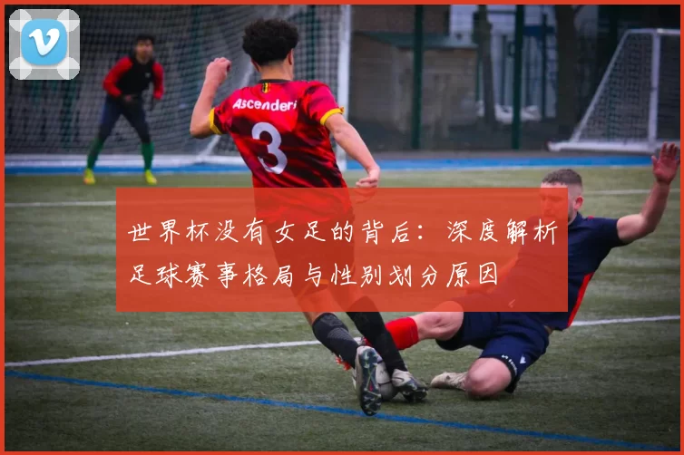 世界杯没有女足的背后:深度解析足球赛事格局与性别划分原因