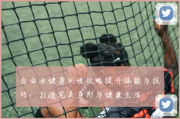 自由泳健身训练攻略提升体能与技巧,打造完美身形与健康生活