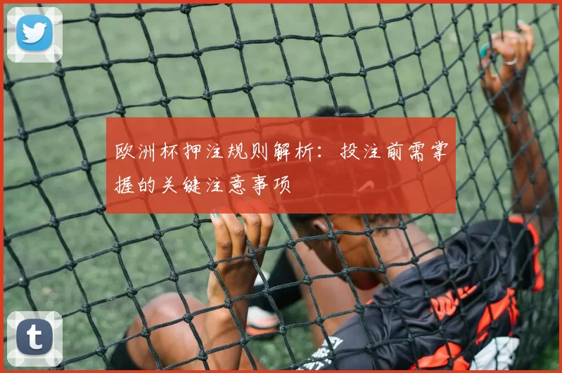 欧洲杯押注规则解析：投注前需掌握的关键注意事项