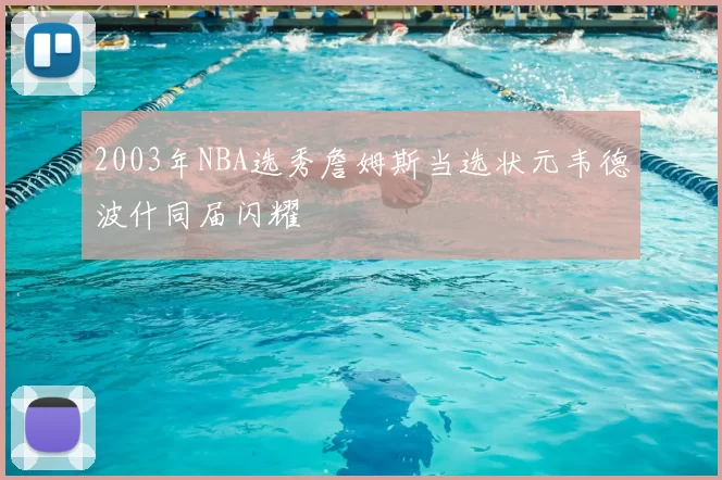 2003年NBA选秀詹姆斯当选状元韦德波什同届闪耀
