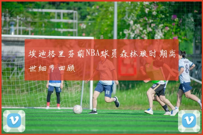埃迪格里芬前NBA球员森林狼时期离世细节回顾