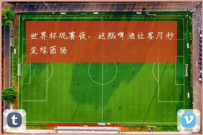 世界杯观赛夜,这瓶啤酒让客厅秒变绿茵场