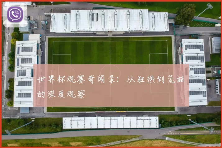 世界杯观赛奇闻录:从狂热到荒诞的深度观察
