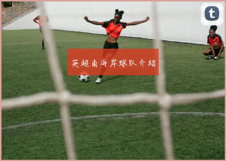 英超南海岸球队介绍
