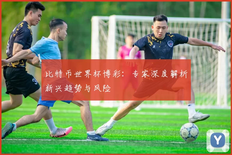 比特币世界杯博彩:专家深度解析新兴趋势与风险